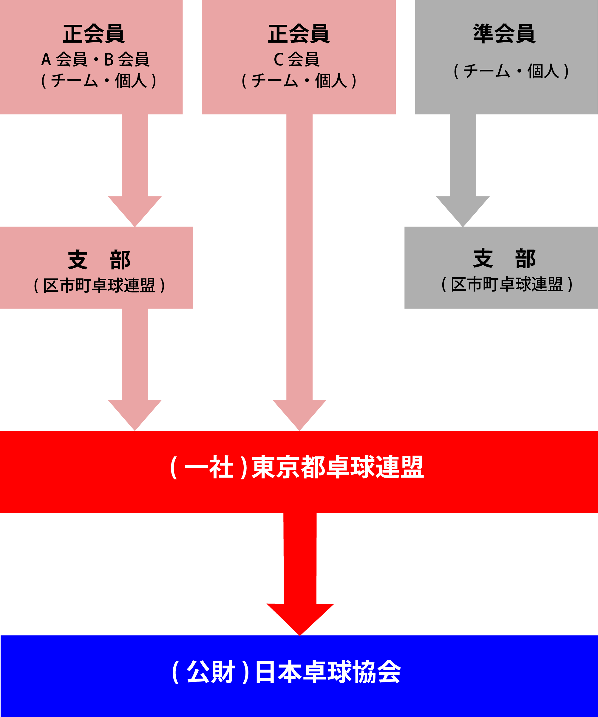 東京都卓球連盟登録の流れ